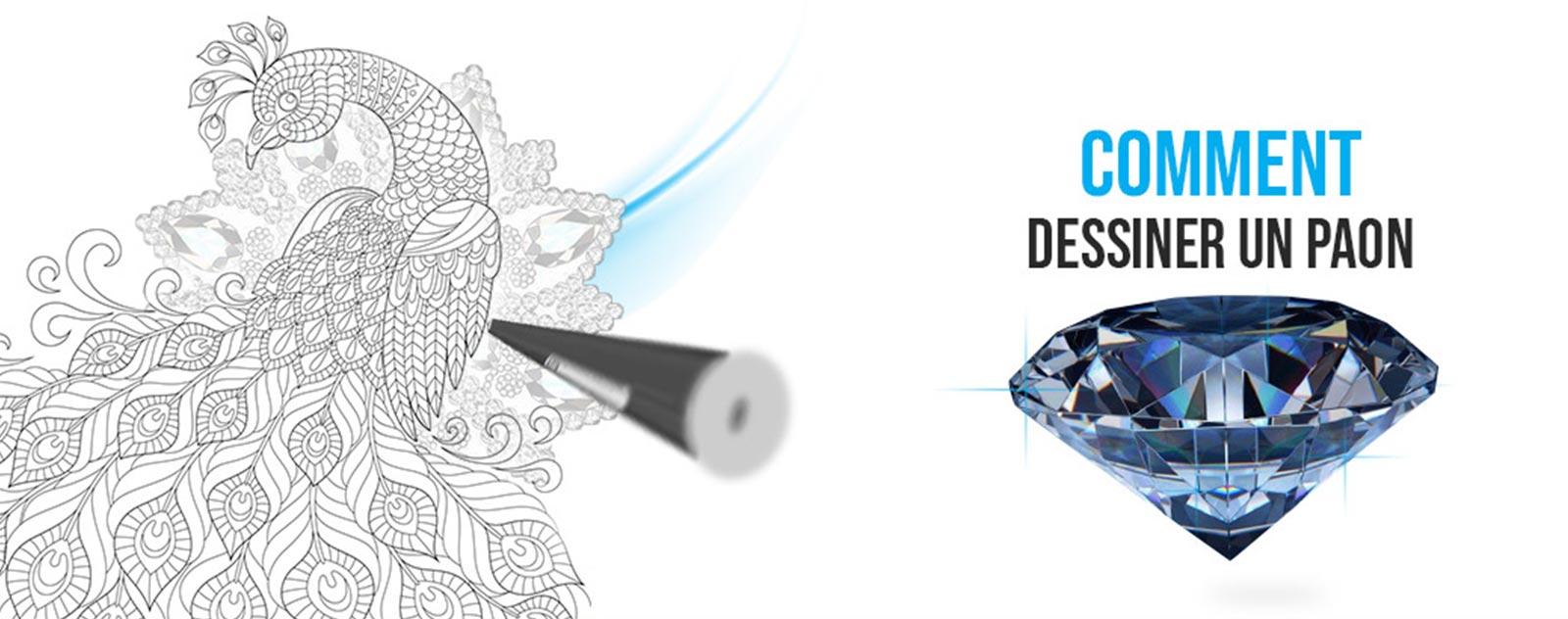 Comment Dessiner un Paon ?