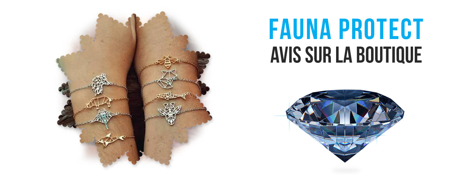 Fauna-Protect-Avis