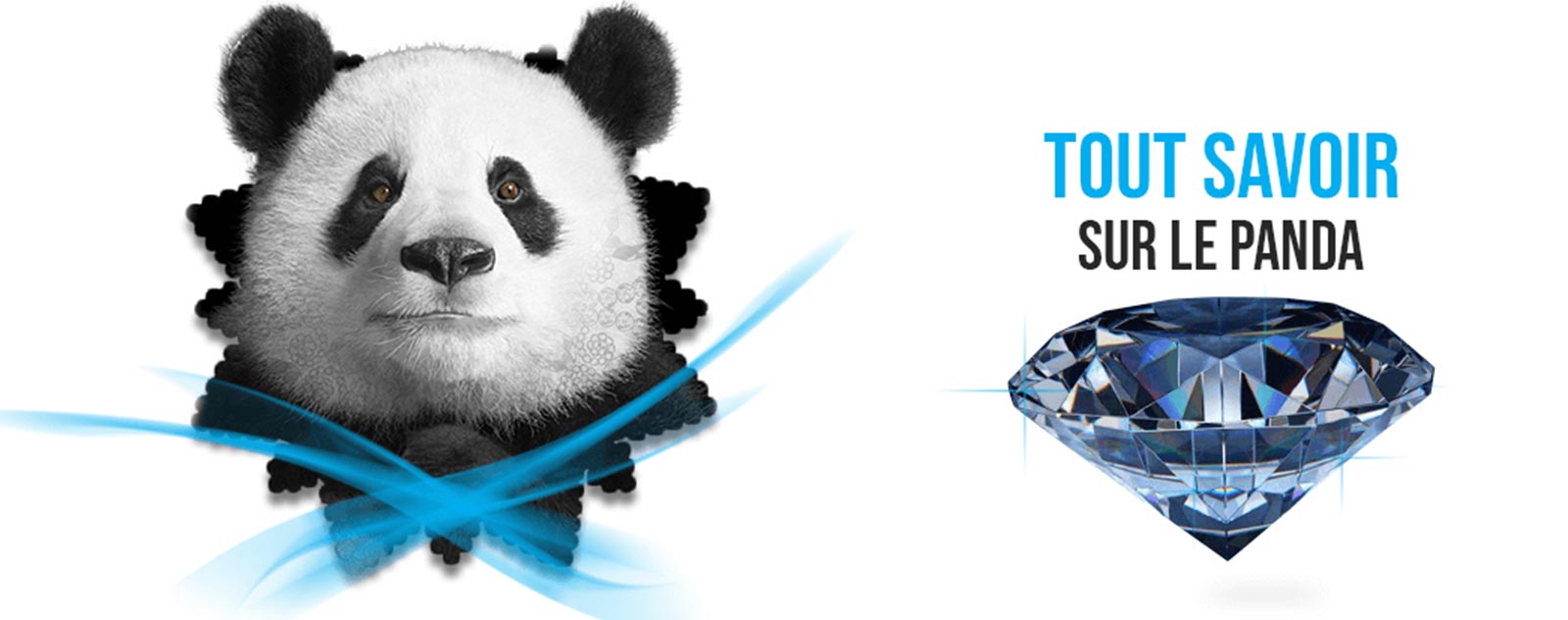 le-panda-geant
