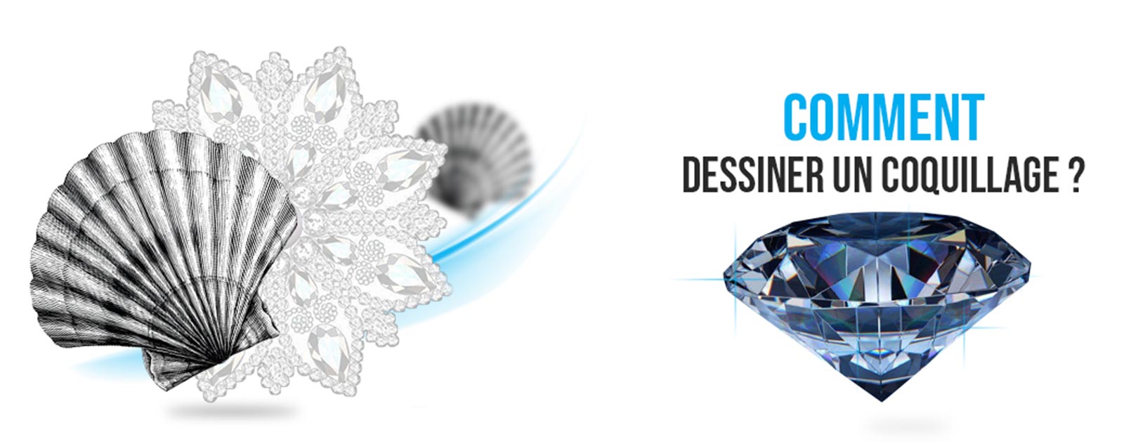dessin-coquillage-realiste