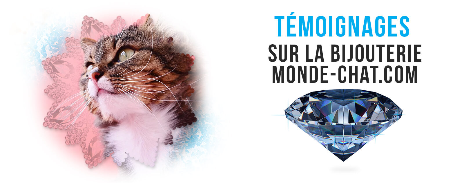 mon-chat-boutique-avis