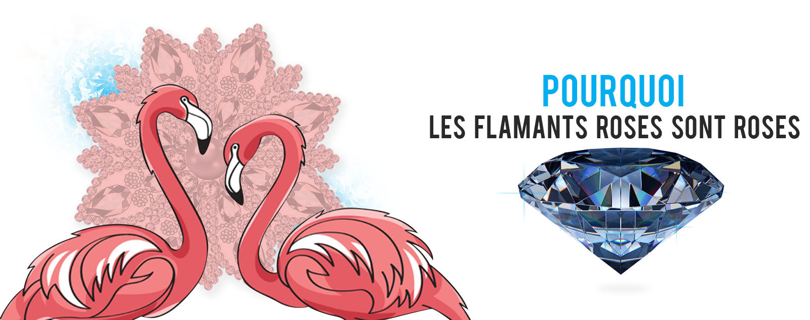 pourquoi-les-flamants-roses-sont-roses