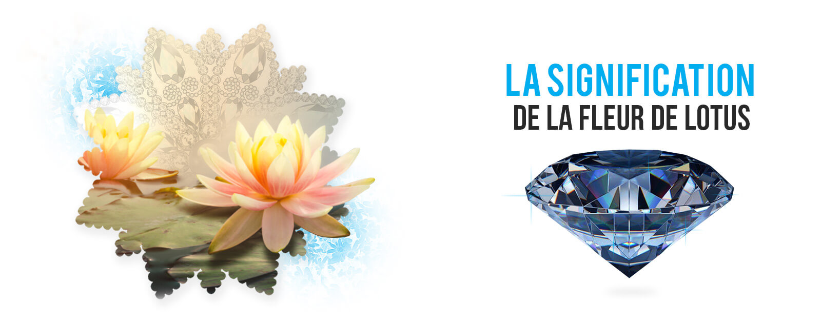 Fleur de lotus : Connaître sa Signification et son Symbole | Bijouterie